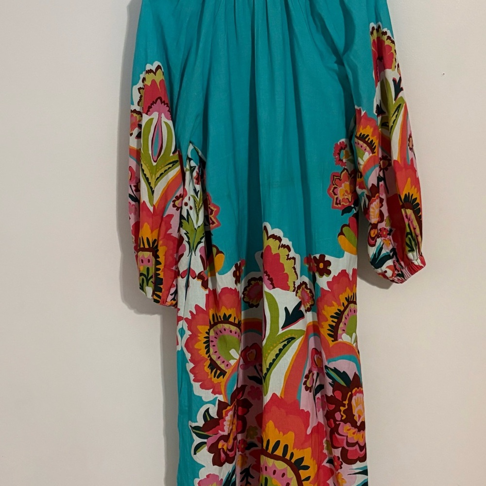 Striking Crosby by Mollie Burch Linen Printed Maxi Dress